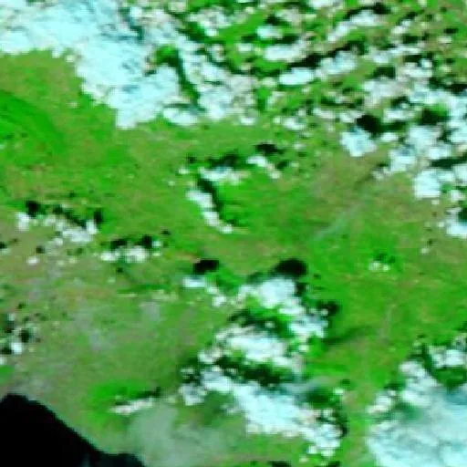 Wildfire near Bonea — NASA satellite