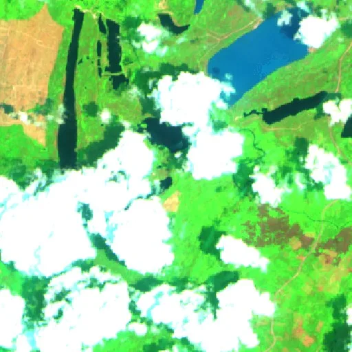 Wildfire near Bontang Baru — Sentinel-2 SWIR (fuego)