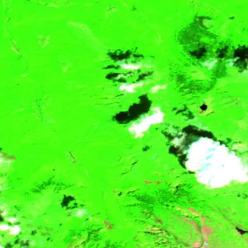 Wildfire near Bordes-Uchentein (FR) — Sentinel-2 SWIR (fuego)