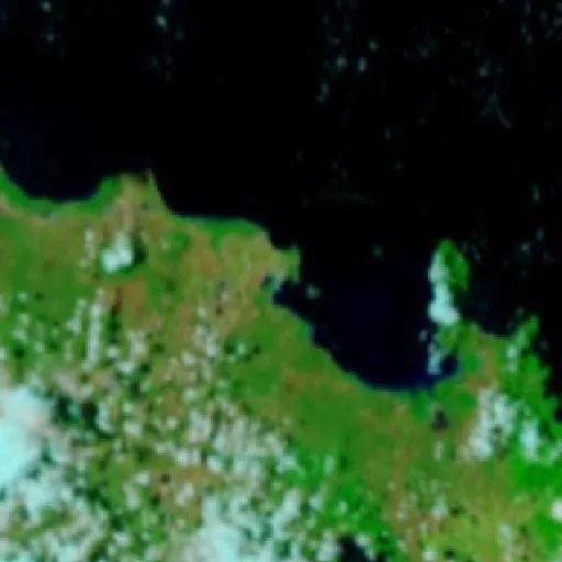 Bowen Bushfire (Oct 22 #2) — NASA satellite