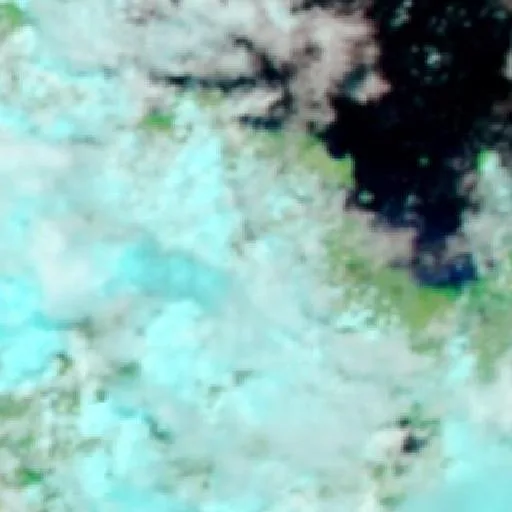 Bowen Bushfire (Oct 25) — NASA satellite