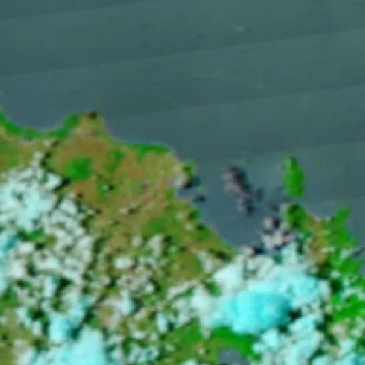 Bowen Bushfire — NASA satellite