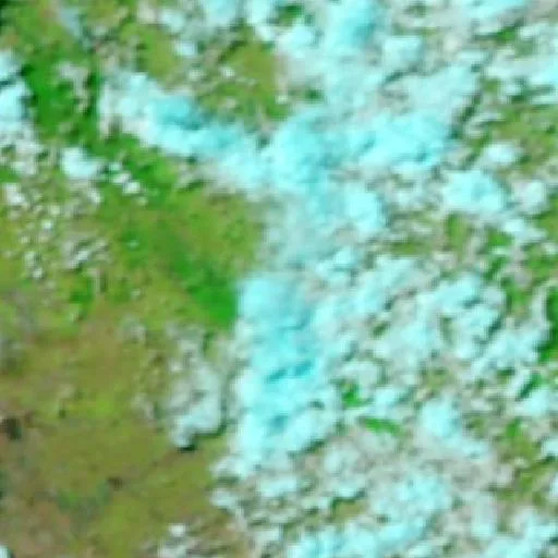 Boyneside Bushfire — NASA satellite