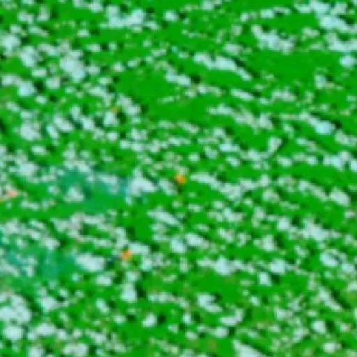 Wildfire near Brasil Novo (Oct 1 · SE) — NASA satellite