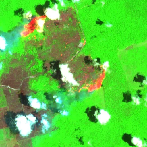 Wildfire near Brasil Novo (Oct 12 · S) — Sentinel-2 SWIR (fuego)