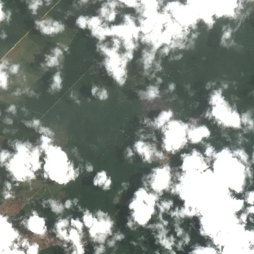 Incendio cerca de Brasil Novo — Sentinel-2 true color