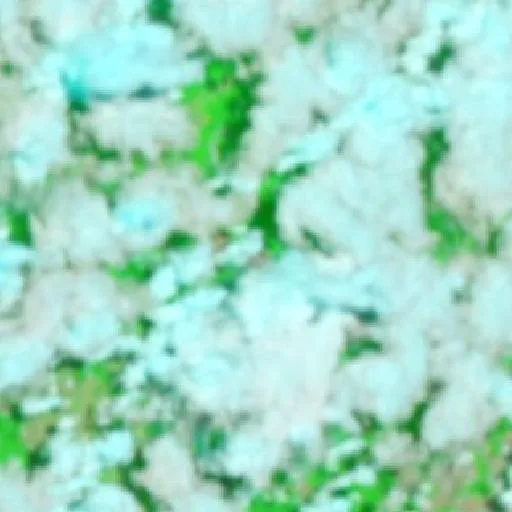 Wildfire near Brasnorte — NASA satellite