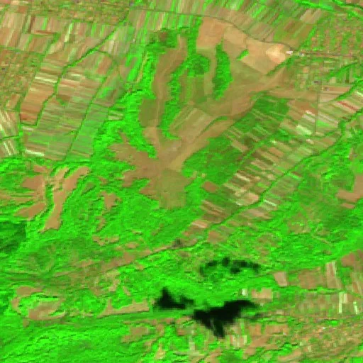 Wildfire near Brazii — Sentinel-2 SWIR (fuego)