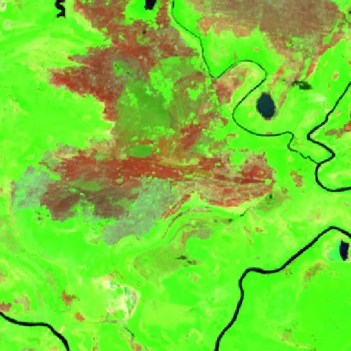 Wildfire near Buena Vista 1ra. Sección (Sep 3) — Sentinel-2 SWIR (fuego)
