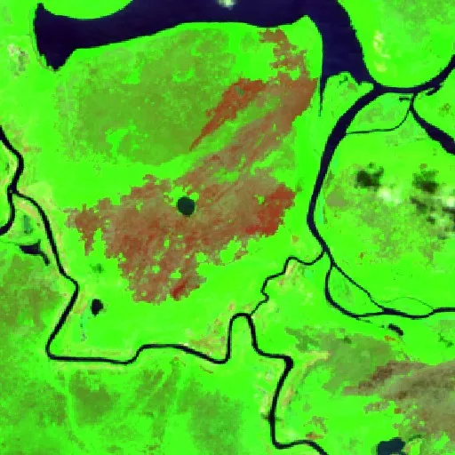 Incendio cerca de Buena Vista 1ra. Sección (2 sep) — Sentinel-2 SWIR (fuego)