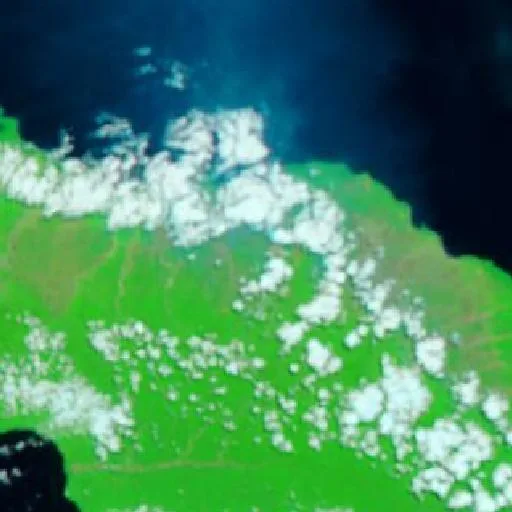 Incendio cerca de Bula — NASA satellite