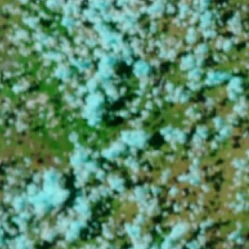 Bundoora Bushfire — NASA satellite
