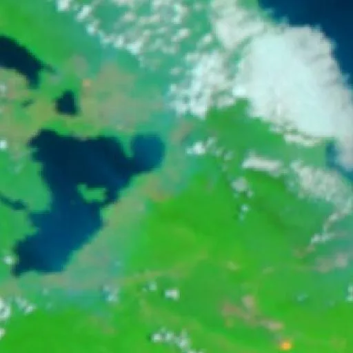 Wildfire near Bungku (Oct 19 · NE) — NASA satellite
