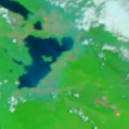 Wildfire near Bungku (Oct 19 · SW) — NASA satellite