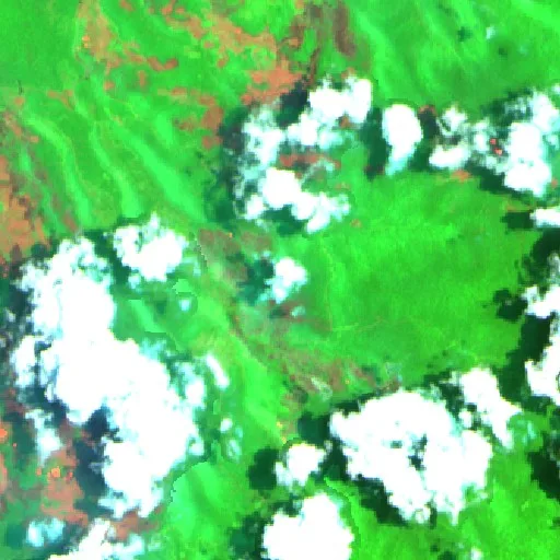 Wildfire near Bungku — Sentinel-2 SWIR (fuego)