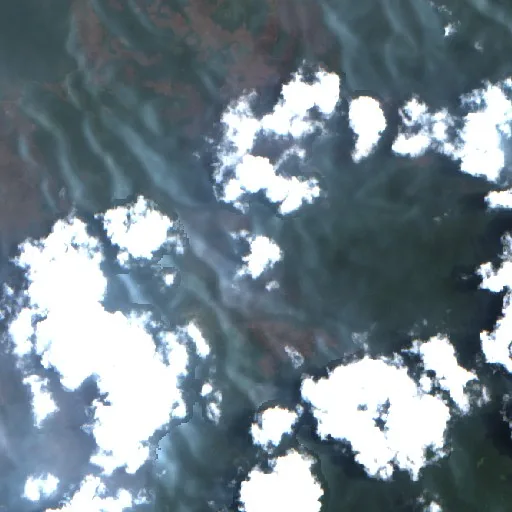 Wildfire near Bungku — Sentinel-2 true color