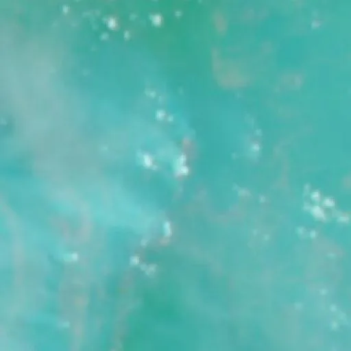 Wildfire near Buntok (Oct 12) — NASA satellite