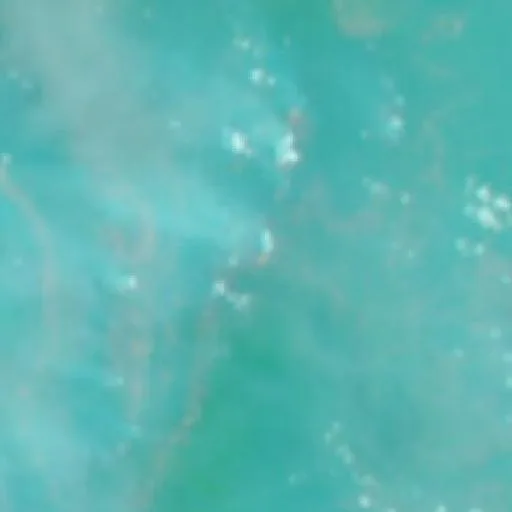 Wildfire near Buntok (Oct 12 · S) — NASA satellite