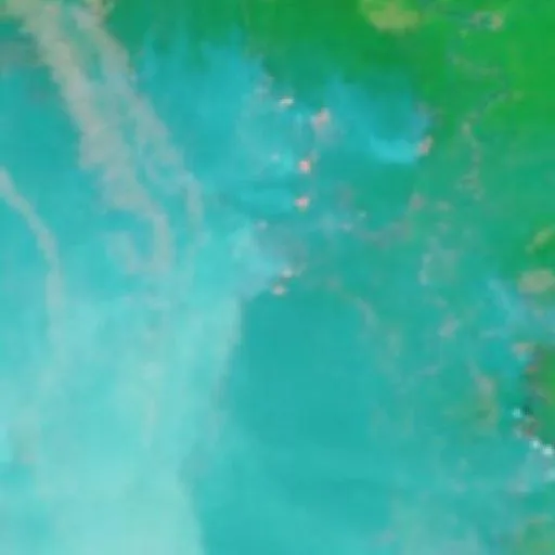 Wildfire near Buntok (Oct 14 · S #2) — NASA satellite