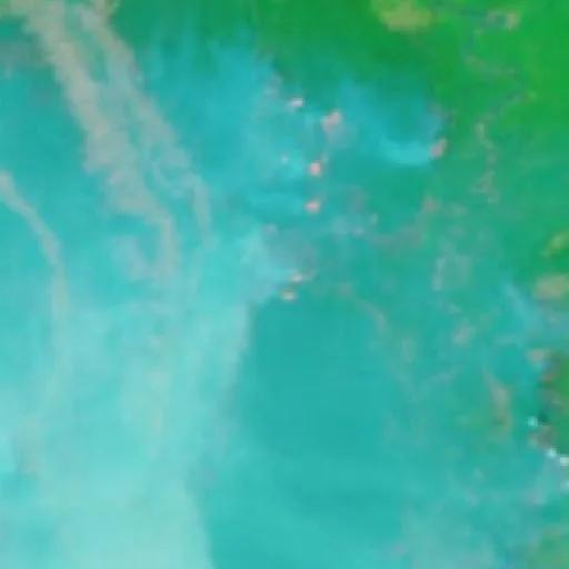 Wildfire near Buntok (Oct 14 · S #2) — NASA satellite