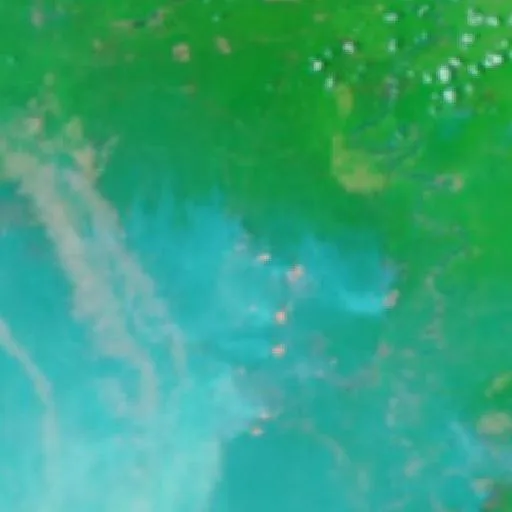 Wildfire near Buntok (Oct 14 · SW) — NASA satellite