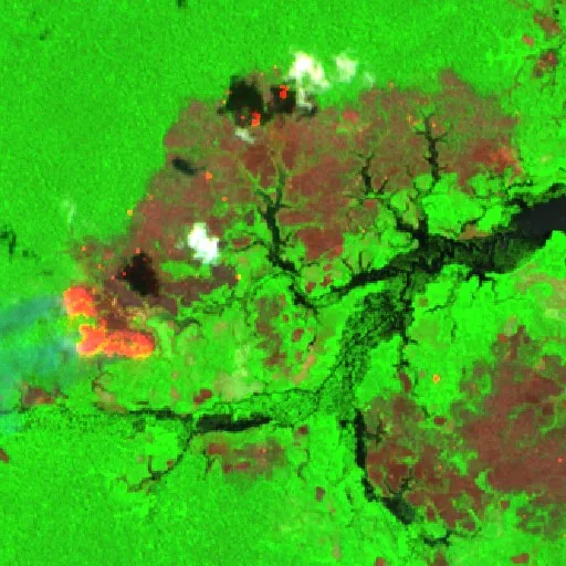 Wildfire near Caapiranga (Aug 31) — Sentinel-2 SWIR (fuego)