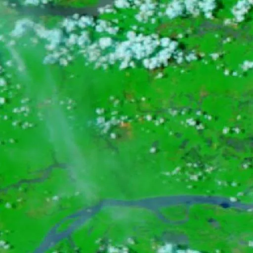 Wildfire near Caapiranga (Sep 14 · SW) — NASA satellite