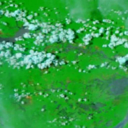 Wildfire near Caapiranga (Sep 14 · NE) — NASA satellite