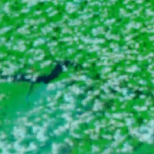 Incendio cerca de Caapiranga (20 sep) — NASA satellite