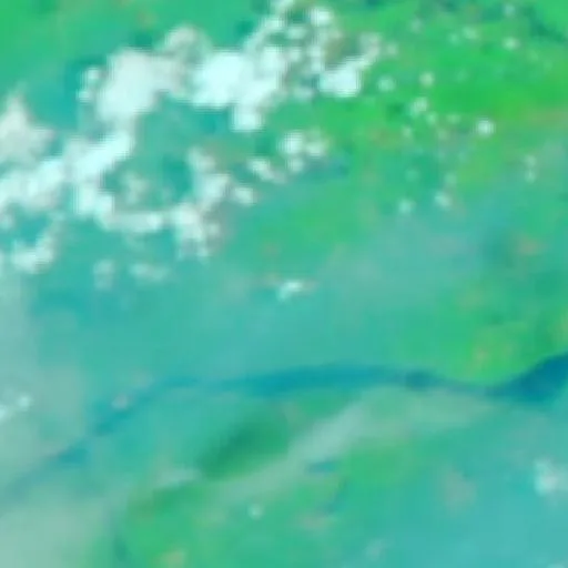 Wildfire near Caapiranga (Oct 17) — NASA satellite