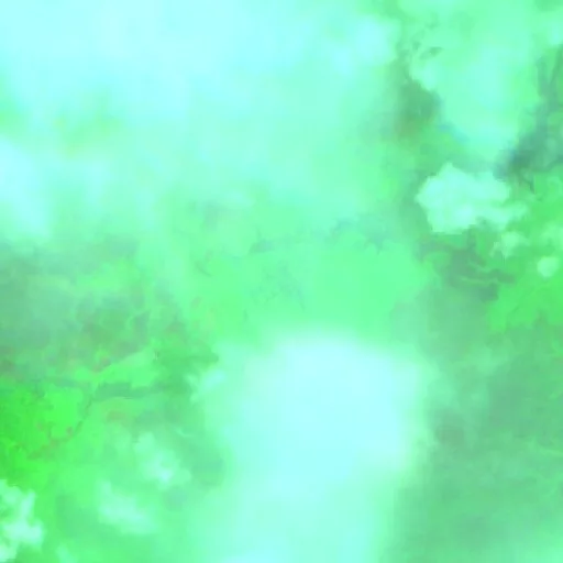 Wildfire near Caapiranga (Aug 25) — Sentinel-2 SWIR (fuego)