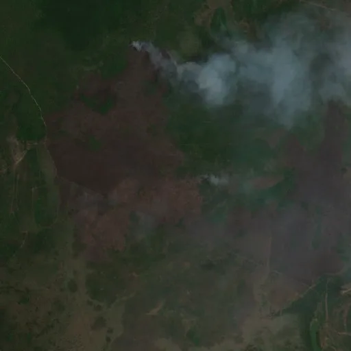 Incendio cerca de Cachorro Sentado — Sentinel-2 true color