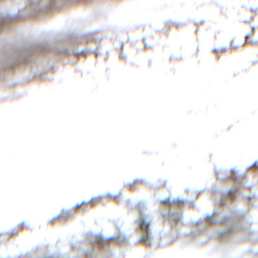 Wildfire near Cajeme — Sentinel-2 true color