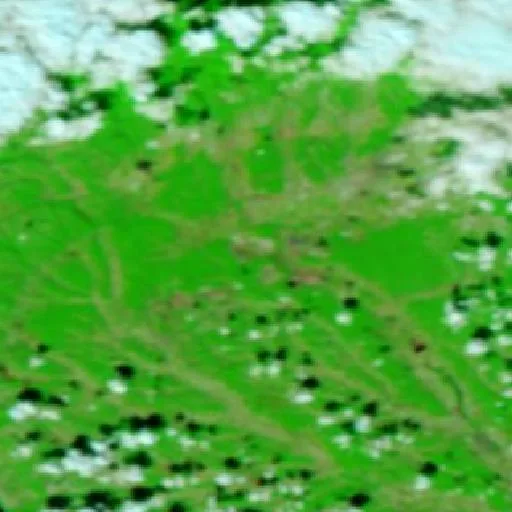 Incendio cerca de Câlnic — NASA satellite