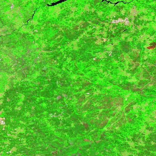 Incendio Wildfire near Cambra e Carvalhal de Vermilhas (PT) — Sentinel-2 SWIR (fuego)