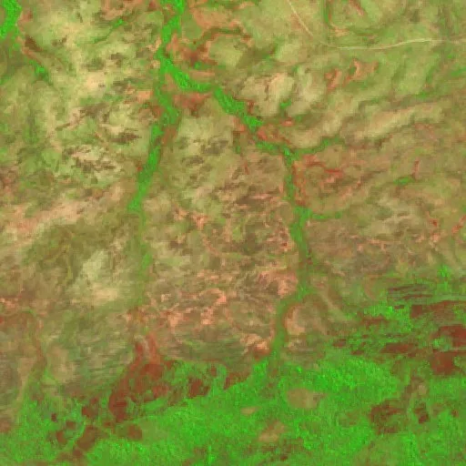 Wildfire near Campinápolis (Aug 14) — Sentinel-2 SWIR (fuego)