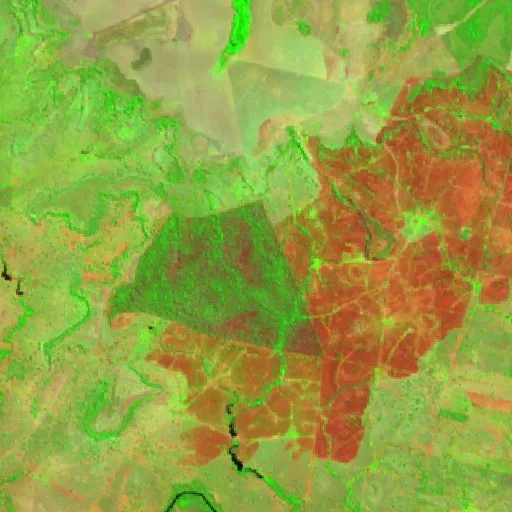 Wildfire near Campinápolis (Aug 13) — Sentinel-2 SWIR (fuego)