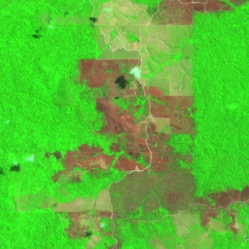 Wildfire near Campo Alegre (Aug 22) — Sentinel-2 SWIR (fuego)
