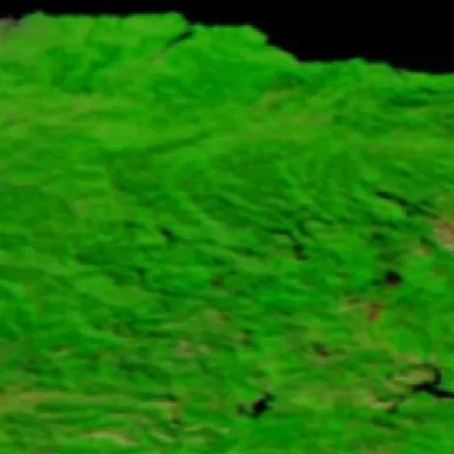 Wildfire near Campo de Caso — NASA satellite