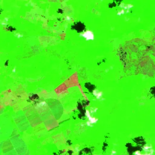 Incendio cerca de Campo Florido — Sentinel-2 SWIR (fuego)