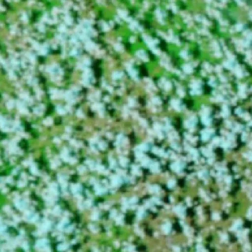 Incendio cerca de Campo Maior — NASA satellite