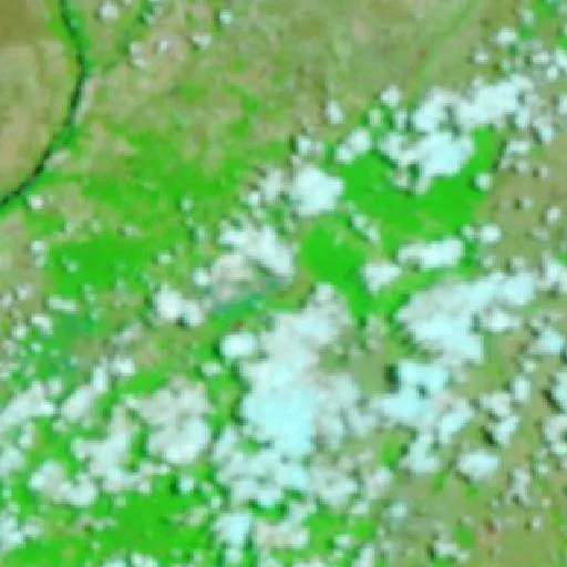 Wildfire near Cantá — NASA satellite