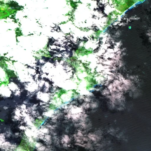 Incendio cerca de Canton Beach — Sentinel-2 SWIR (fuego)