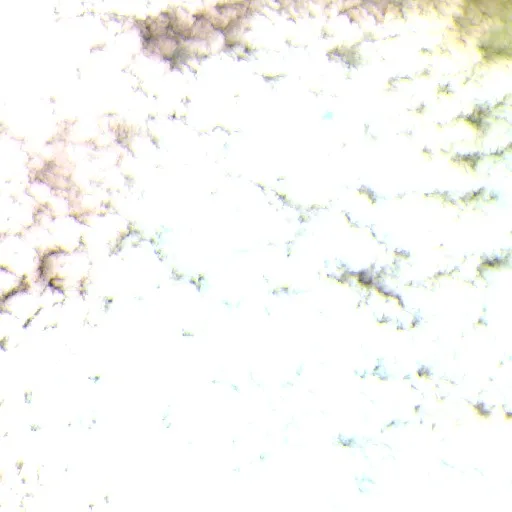 Capella Bushfire — Sentinel-2 SWIR (fuego)
