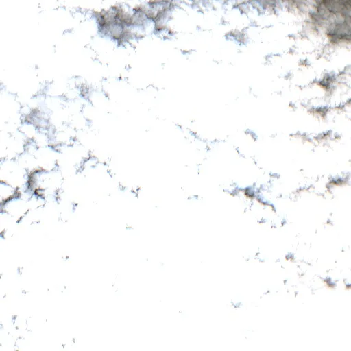 Capella Bushfire — Sentinel-2 true color