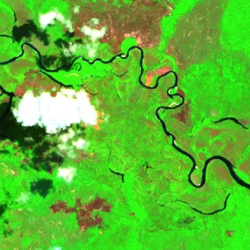 Wildfire near Capipi — Sentinel-2 SWIR (fuego)