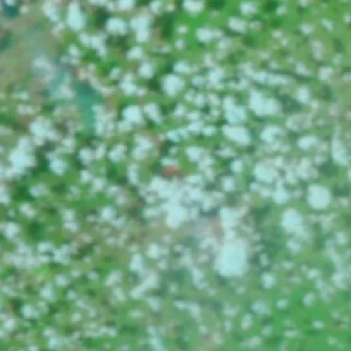 Incendio cerca de Capoeira do Filipão (24 oct) — NASA satellite
