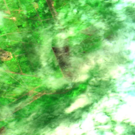 Wildfire near Captieux (Jul 28) — Sentinel-2 SWIR (fuego)