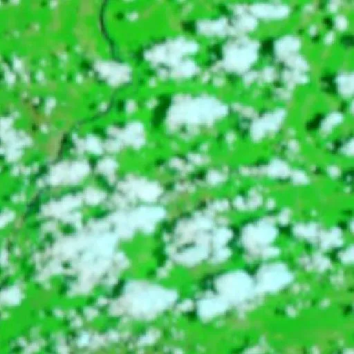 Wildfire near Caracaraí — NASA satellite