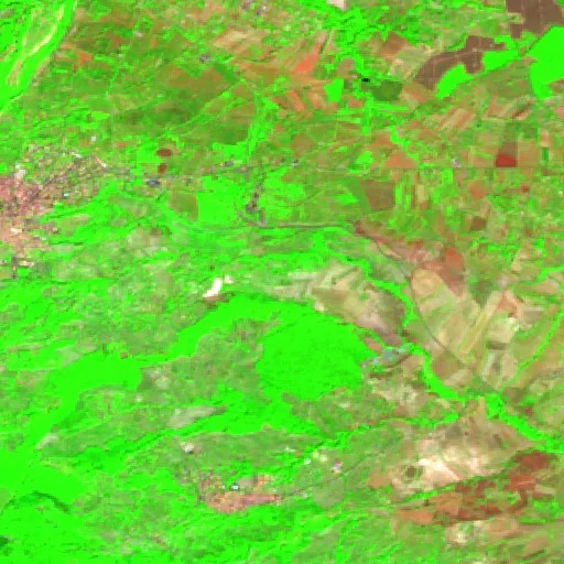 Incendio cerca de Caraffa di Catanzaro — Sentinel-2 SWIR (fuego)